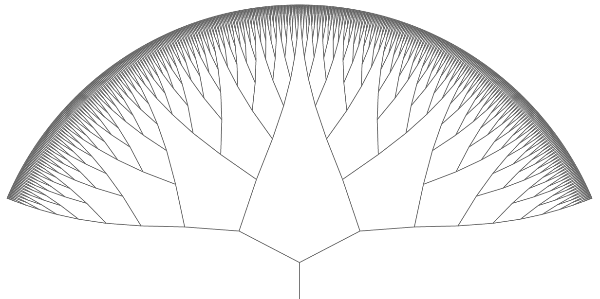 Figure 3: A L-like system in which line directions are chosen to maximize the regularity of leaf point distribution.